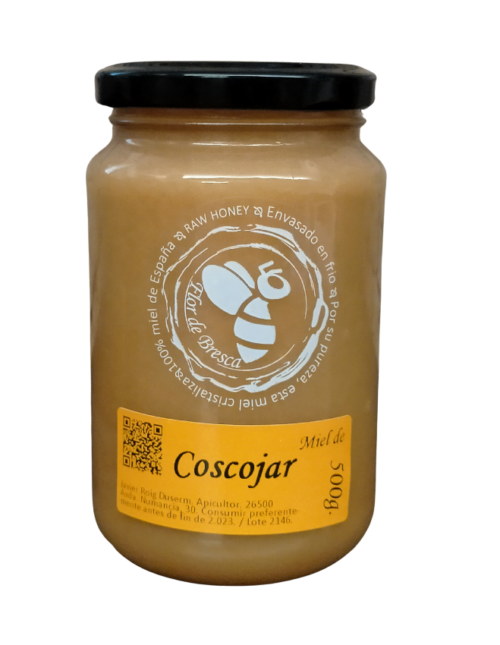 Diseño sin título (6)